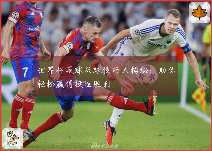 世界杯滚球买球技巧大揭秘，助你轻松赢得投注胜利