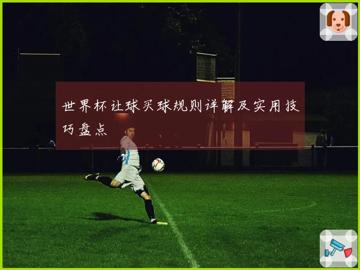 世界杯让球买球规则详解及实用技巧盘点
