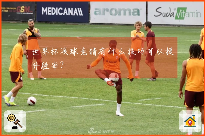 世界杯滚球竞猜有什么技巧可以提升胜率？