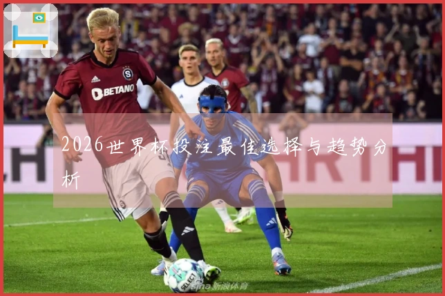 2026世界杯投注最佳选择与趋势分析