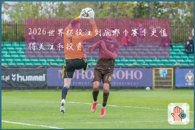 2026世界杯投注到底哪个赛季更值得关注和投资